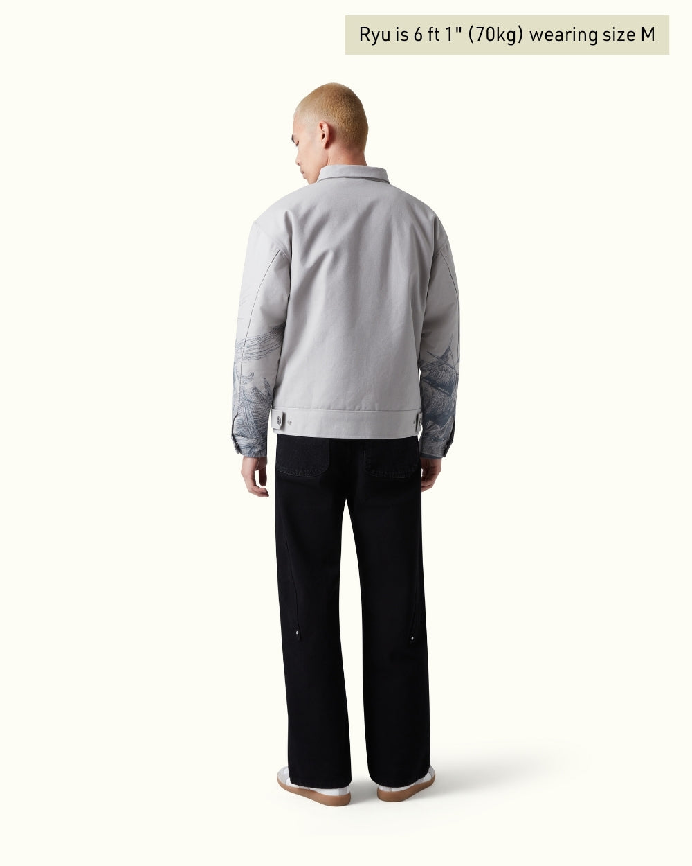 Veste Hercule