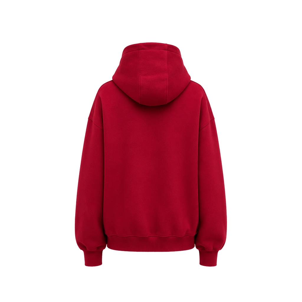 Hoodie met gewassen borduursel en rits
