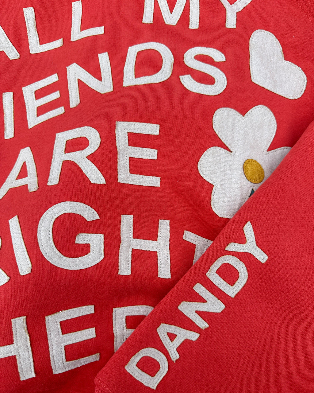 „All my Friends“ Oversized Lux Hoodie in Rot