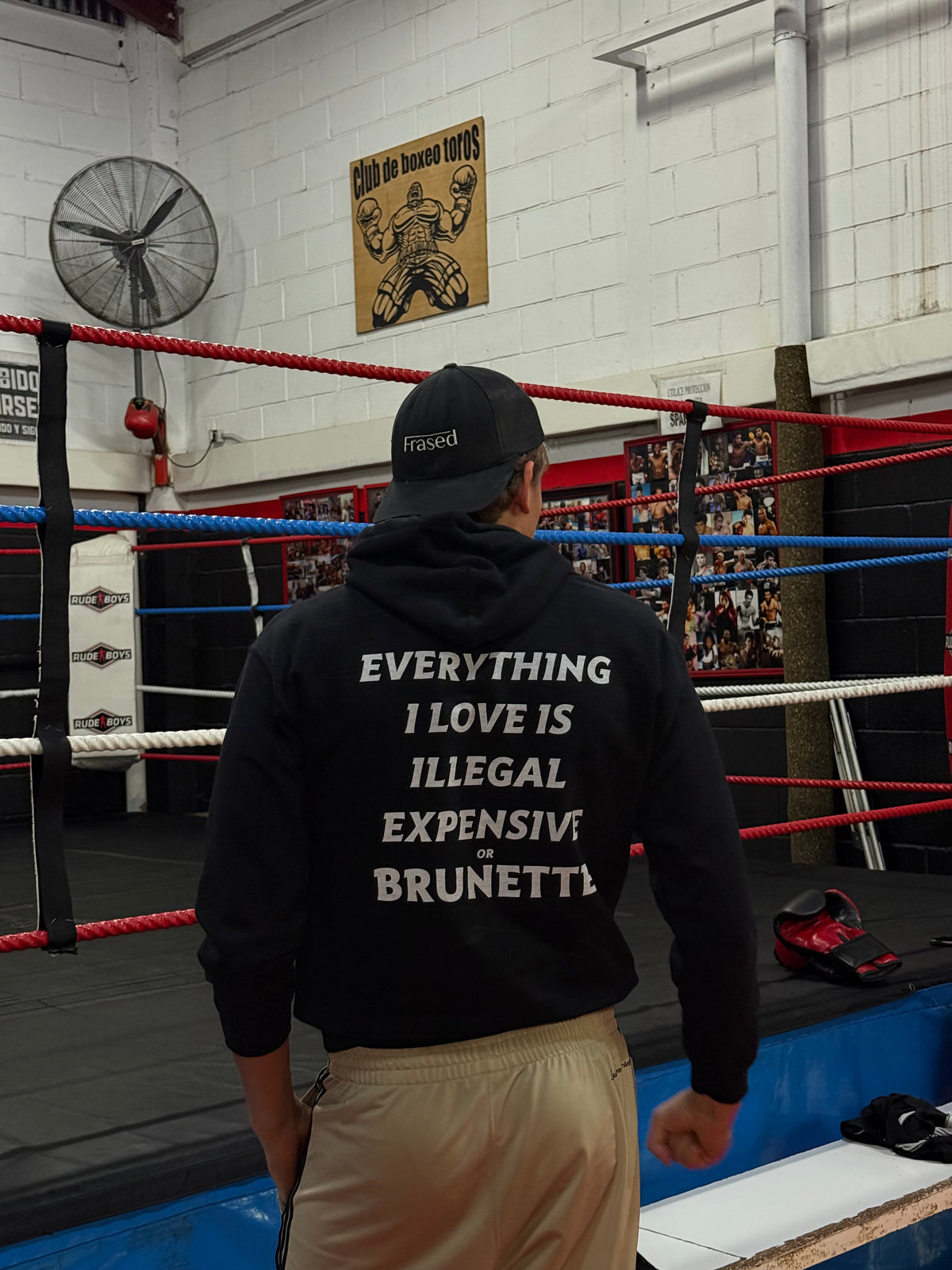 TOUT CE QUE J'AIME EST ILLÉGAL, CHER OU BRUN - SWEAT À CAPUCHE
