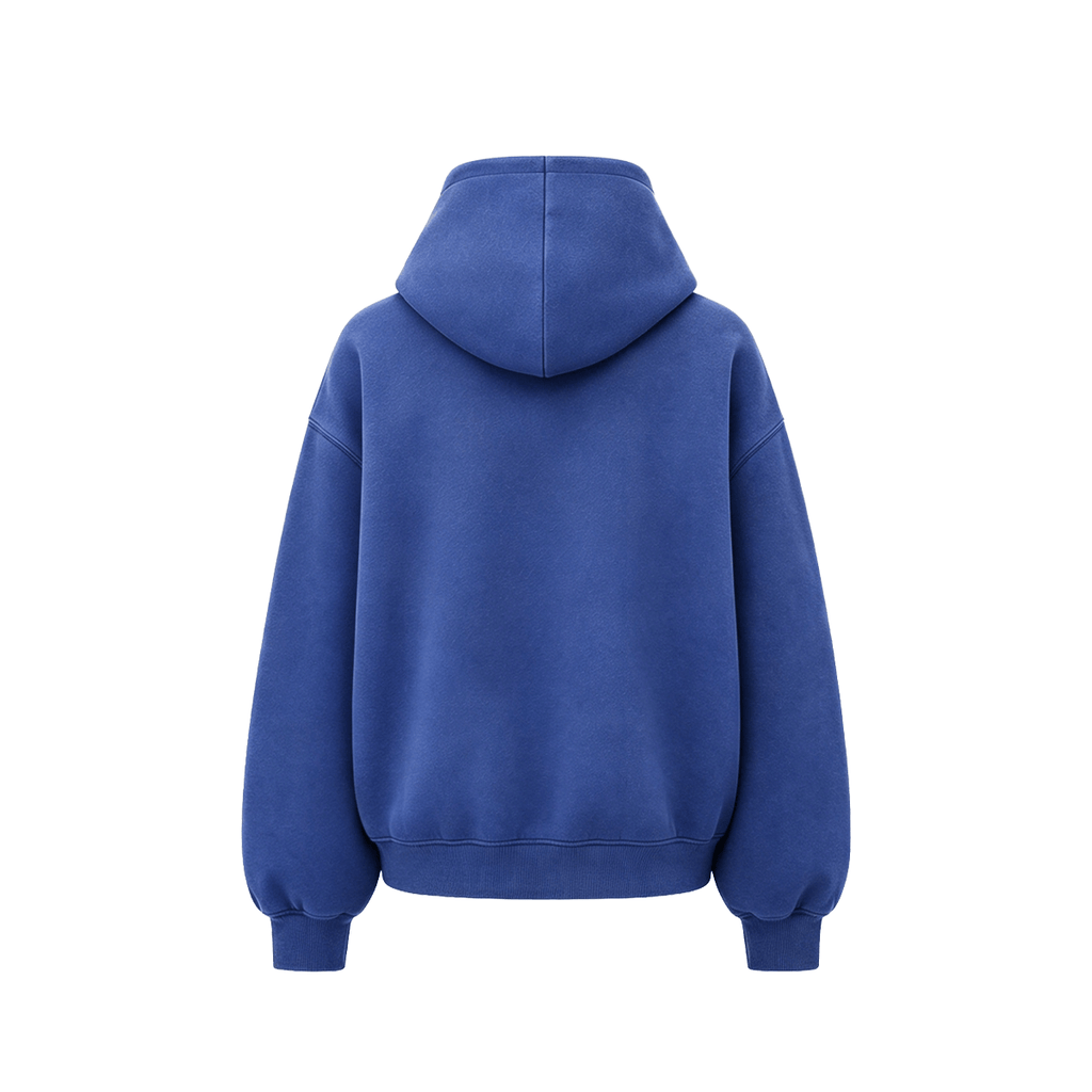 Hoodie met gewassen borduursel en rits