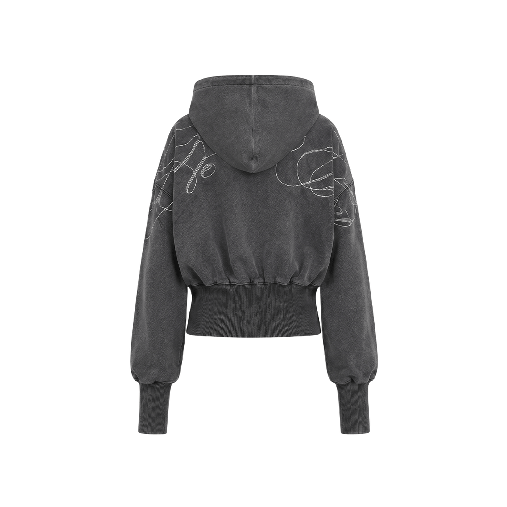 Washed Graphic Crop Hoodie