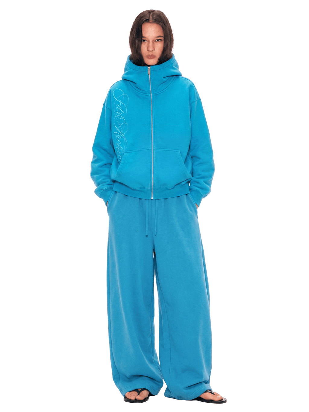 Hoodie met gewassen borduursel en rits
